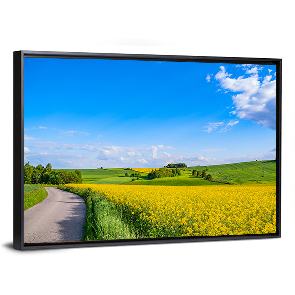 Oilseed field In Italian Countryside Canvas Wall Art