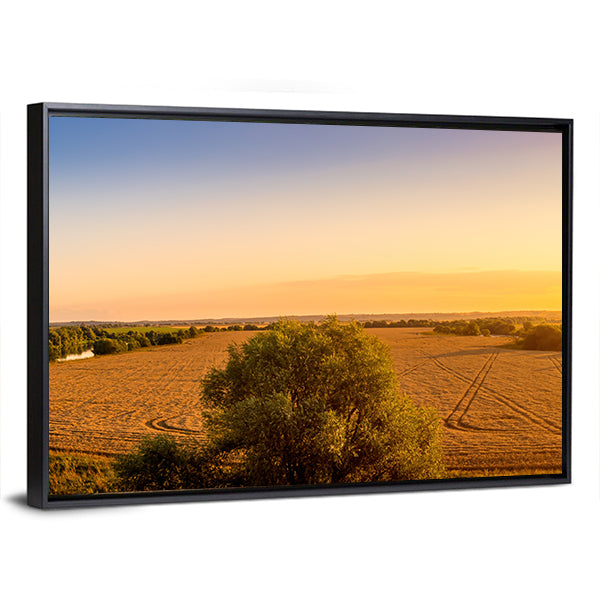 Sunset Over Golden Field with Curved Tracks Canvas Wall Art