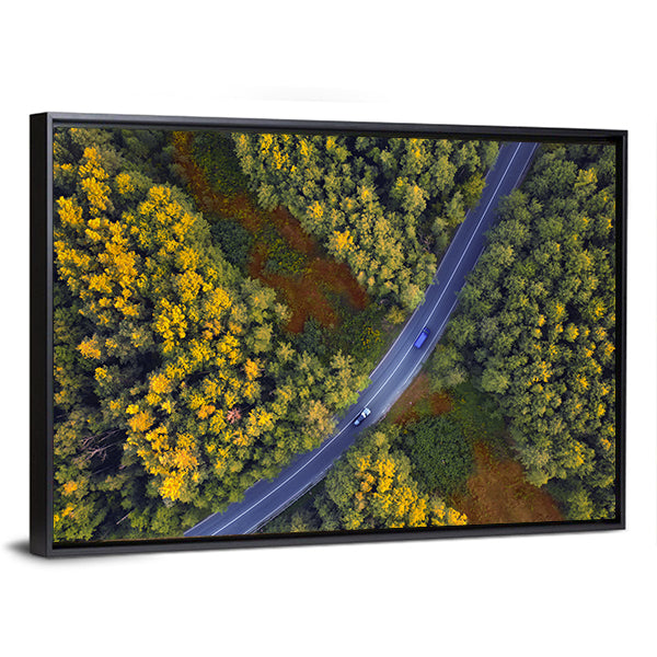 Travel Through Forest Canvas Wall Art