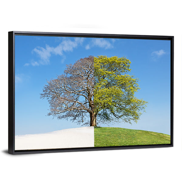 Tree Split Between Winter and Summer Canvas Wall Art