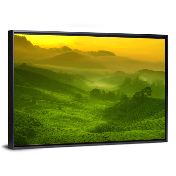 Tea Plantation In Cameron Highland At Sunrise Canvas Wall Art