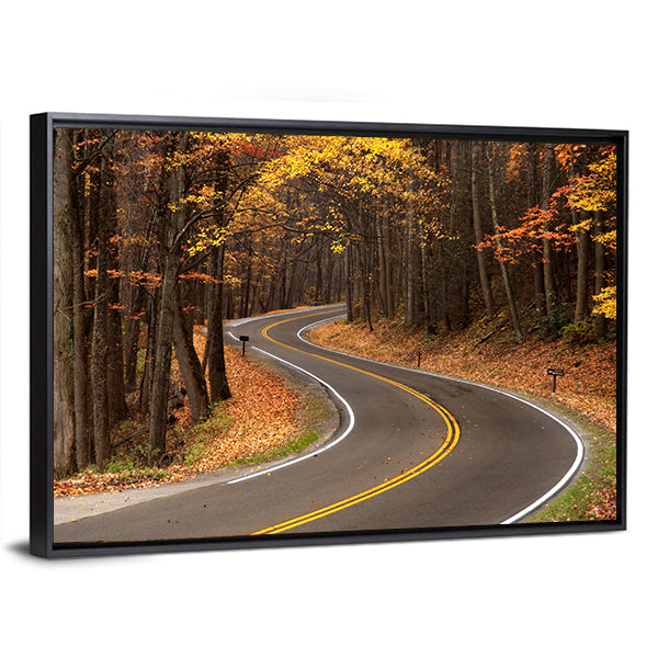 S-curve Road in Great Smokey Mountains Canvas Wall Art