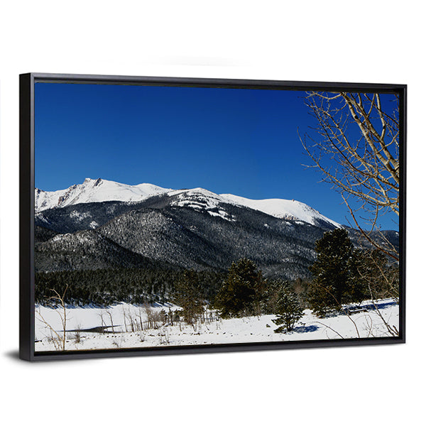 Pikes Peak Winter Landscape Canvas Wall Art