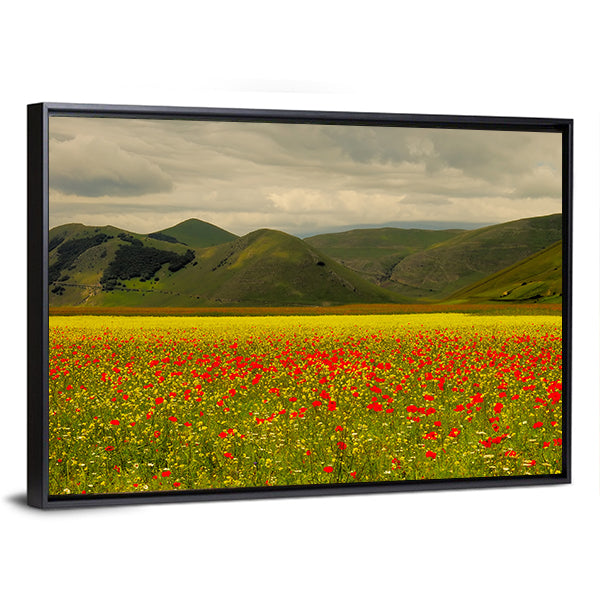 Castelluccio Di Norcia Meadow with Red Poppies Canvas Wall Art