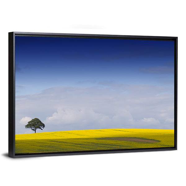 Yellow Rapeseed Field with Lone Tree Canvas Wall Art in yellow, green and blue, framed canvas, product view on a white background