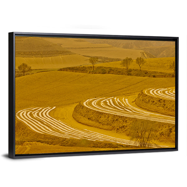 Loess Plateau Terraced Fields Canvas Wall Art
