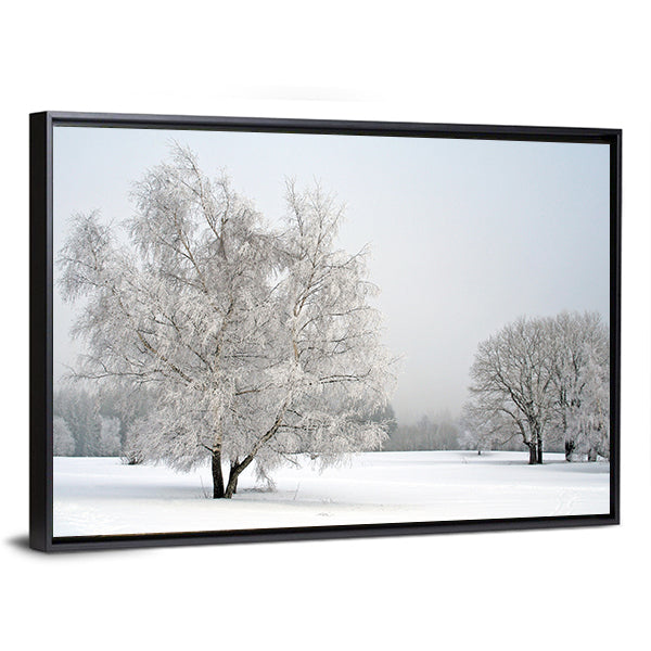 Frosted Trees in Snowy Field Canvas Wall Art