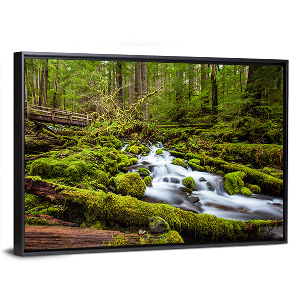 Sol Duc Falls Trail In Olympic National Park Canvas Wall Art