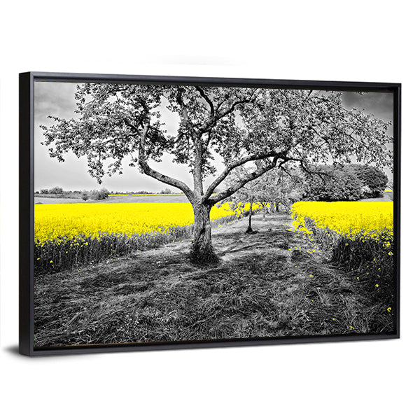 Yellow Canola Field with Large Tree and Path Canvas Wall Art in black, gray and yellow, framed canvas, product view on a white background