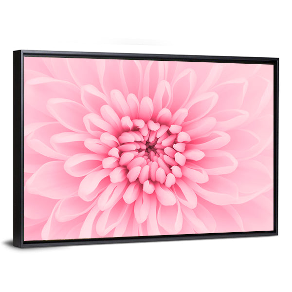Pink Chrysanthemum Petals Canvas Wall Art in pink, framed canvas, product view on a white background