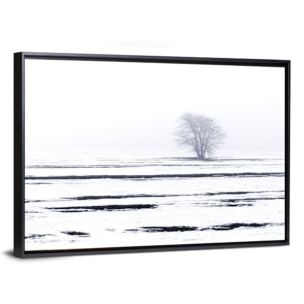 Solitary Tree in Snowy Field Canvas Wall Art