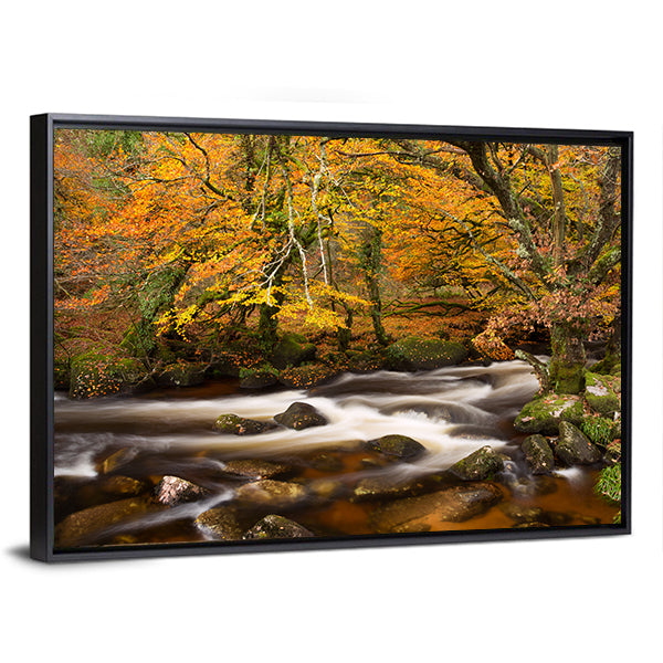 Autumn River in Dartmoor, Devon Canvas Wall Art