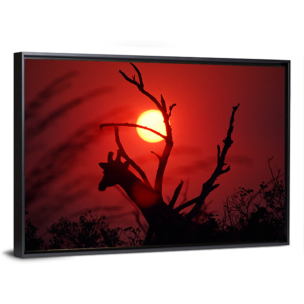 An African Sunset In Mikumi Forest Tanzania Canvas Wall Art