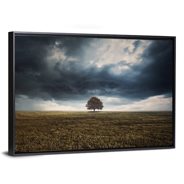 Tree In Field Under Storm Clouds Canvas Wall Art