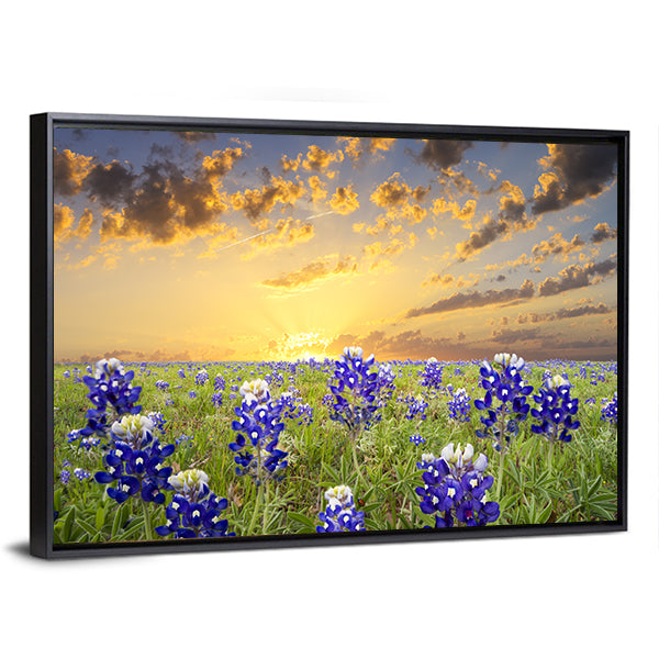Bluebonnets In The Texas Hill County Canvas Wall Art