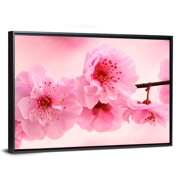 Pink Flowers In Spring Canvas Wall Art in white and pink, framed canvas, product view on a white background