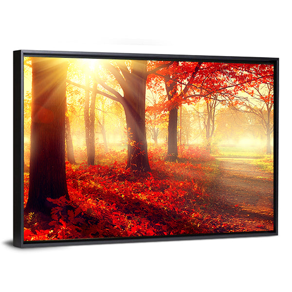 Autumn Park in Morning Sun Canvas Wall Art