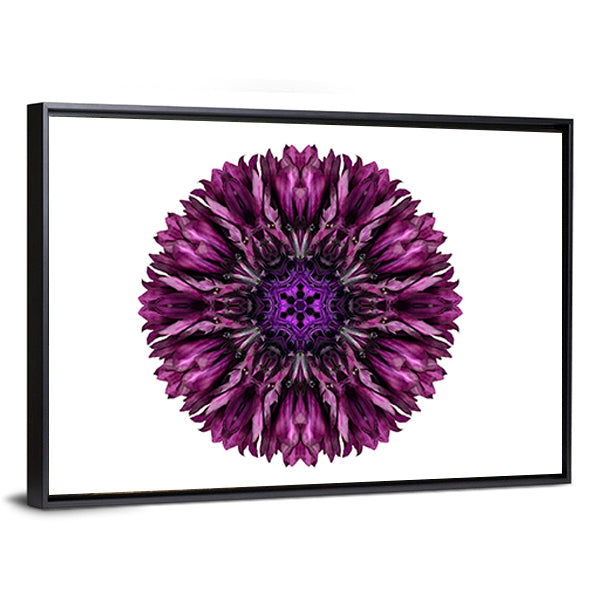 Purple Cornflower Mandala Canvas Wall Art in white and purple, framed canvas, product view on a white background