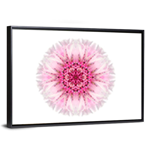 Pink Cornflower Mandala Canvas Wall Art in white and pink, framed canvas, product view on a white background