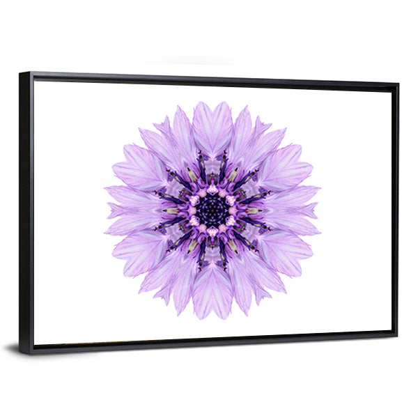 Purple Cornflower Mandala Canvas Wall Art in white and purple, framed canvas, product view on a white background