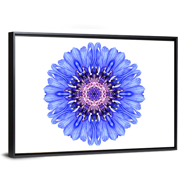 Blue Cornflower Mandala Canvas Wall Art in white and blue, framed canvas, product view on a white background