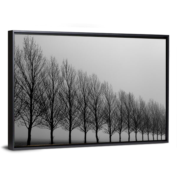 Autumn Trees in Mist Canvas Wall Art