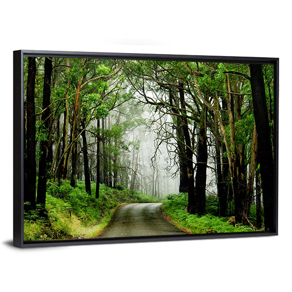Forest Road With Fog Canvas Wall Art