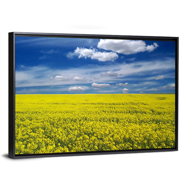 Golden Canola Field Canvas Wall Art in yellow and blue, framed canvas, product view on a white background
