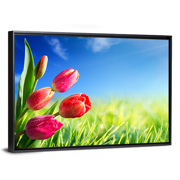 Sunny Spring Tulips in Meadow Canvas Wall Art