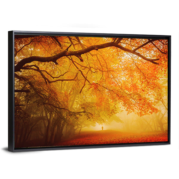 Seasonal Forest Fall Walk Canvas Wall Art