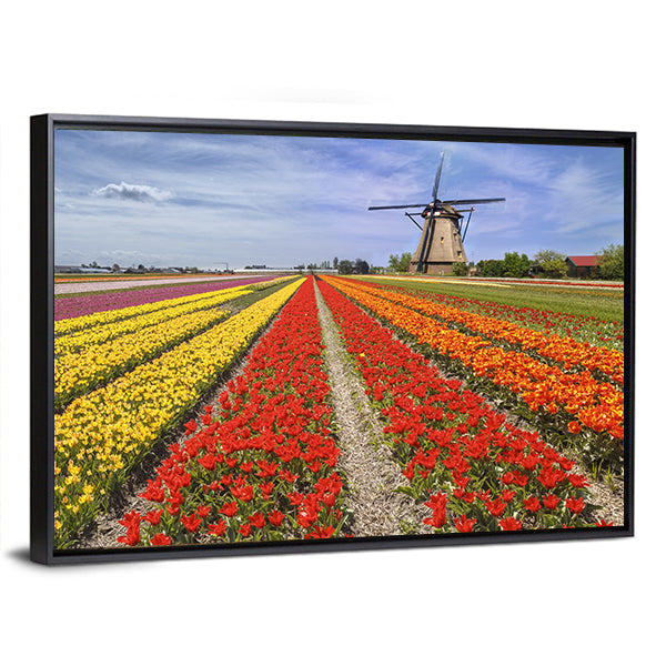 Colorful Dutch Tulip Fields with Windmill Canvas Wall Art