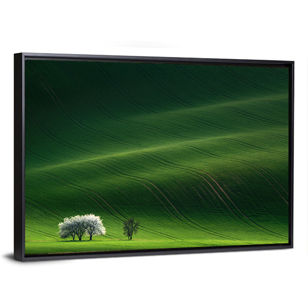 Moravian Green Rolling In Czech Republic Canvas Wall Art