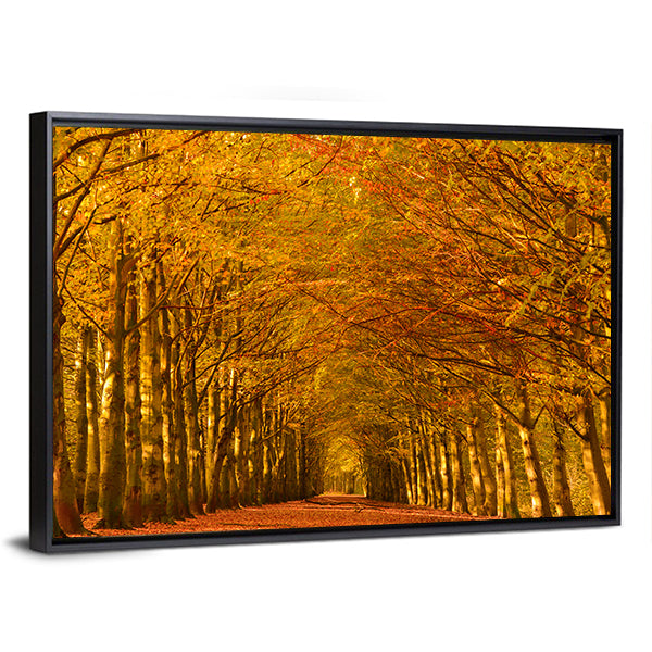 Autumn Forest Lane Canvas Wall Art