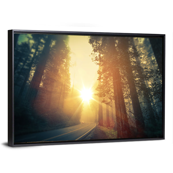 Foggy Redwood Forest Road Canvas Wall Art