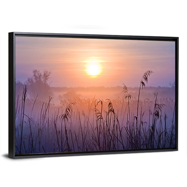 Shallow Depth Of Field At Sunset Canvas Wall Art