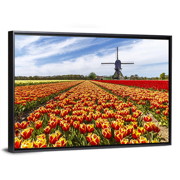 Colorful Tulip Field with Dutch Windmill Canvas Wall Art