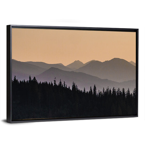 Early Morning Mist On Forest Mountain Canvas Wall Art