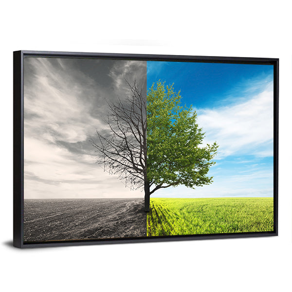 Split Lone Tree in Field Canvas Wall Art