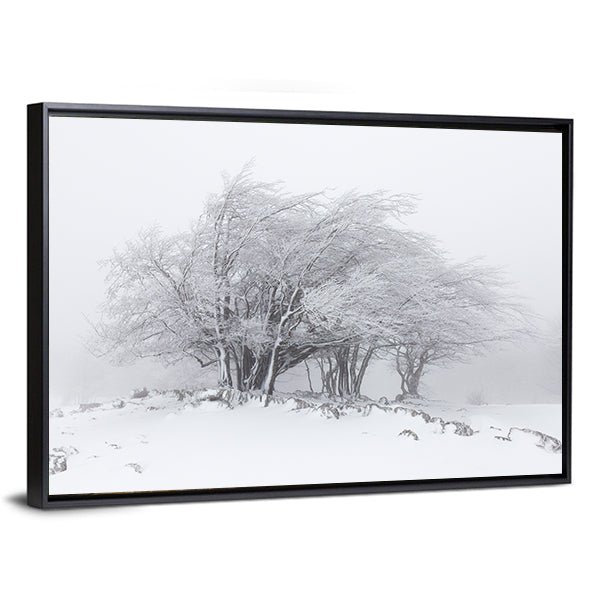 Foggy Winter Landscape In The Forest Canvas Wall Art in black, white and gray, framed canvas, product view on a white background