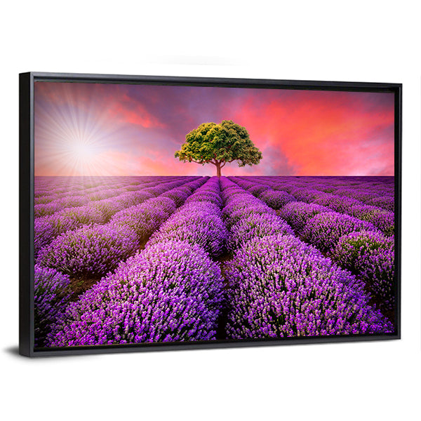 Lavender Field at Sunset Canvas Wall Art in orange, purple and pink, framed canvas, product view on a white background
