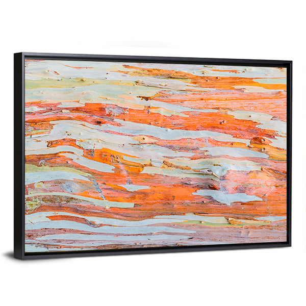 Eucalyptus Tree Bark Canvas Wall Art in gray, orange and multicolor, framed canvas, product view on a white background