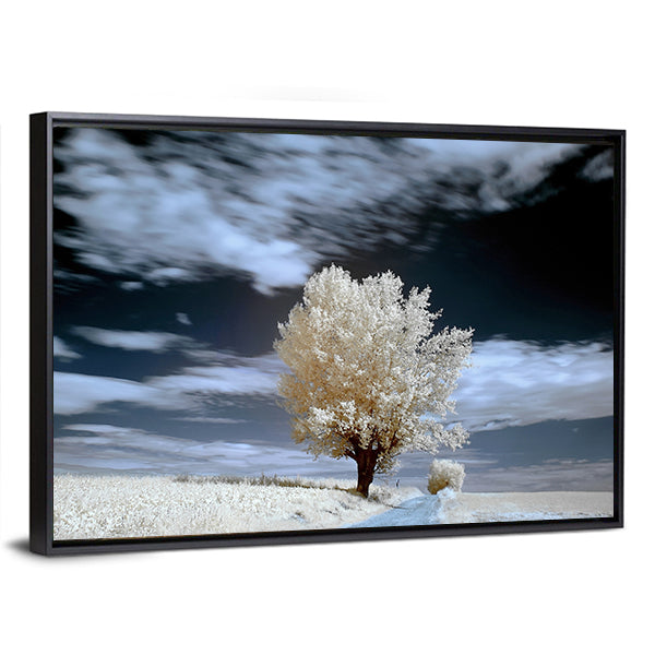 Alone Tree In Winter Canvas Wall Art