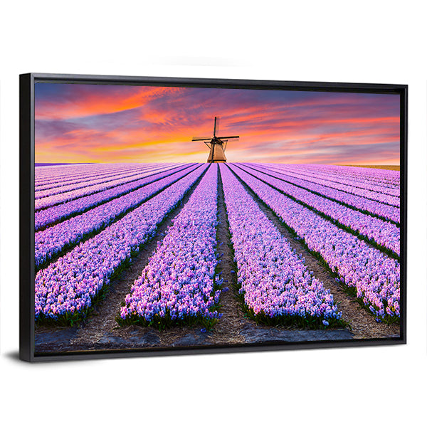 Spring Scene On The Flowers Farm In Netherlands Canvas Wall Art