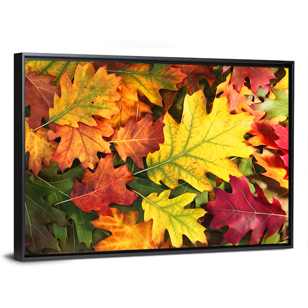 Colorful Oak Leaves in Autumn Canvas Wall Art in red, yellow and multicolor, framed canvas, product view on a white background