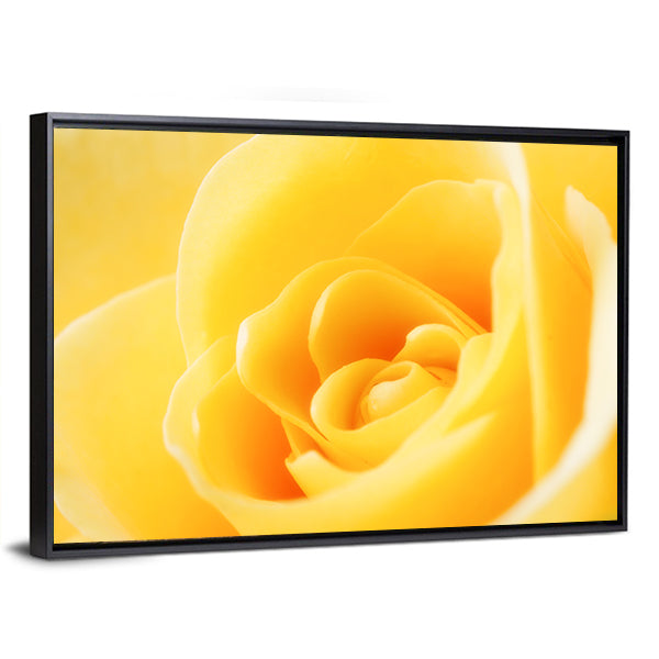 Yellow Rose Close-Up Canvas Wall Art in yellow, framed canvas, product view on a white background