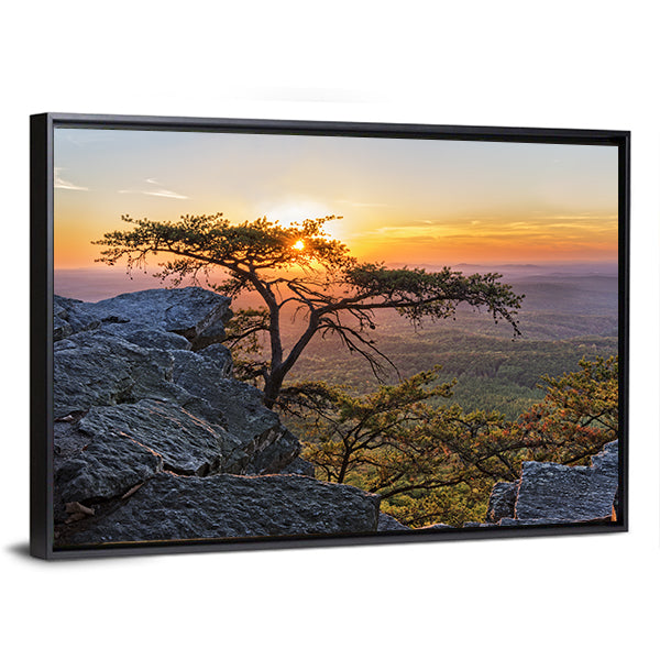 Gnarled Tree at Sunset Overlook Canvas Wall Art