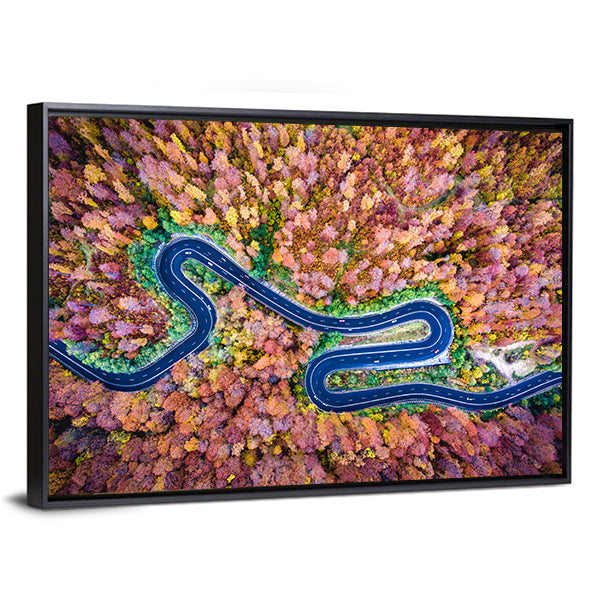 Curved Winding Road Through The Forest Canvas Wall Art