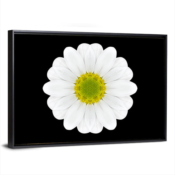 Close Up Of White Flower Mandala Canvas Wall Art