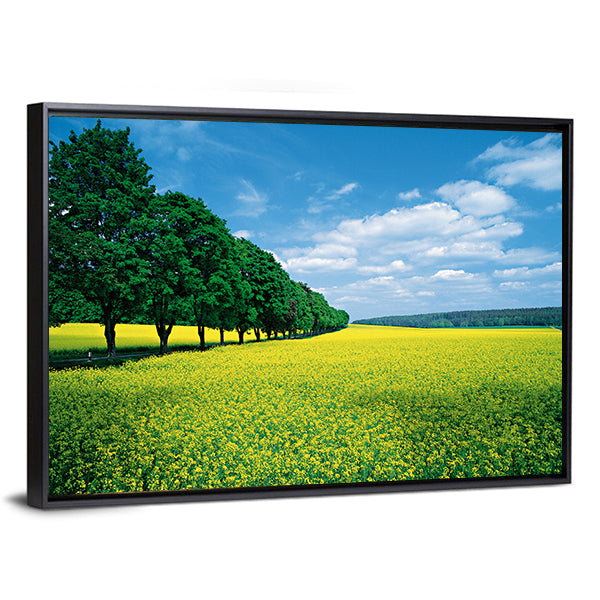 Spring Fields And Allee In Summer Canvas Wall Art