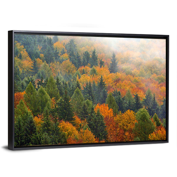 Foggy Autumn Forest In Romania Canvas Wall Art